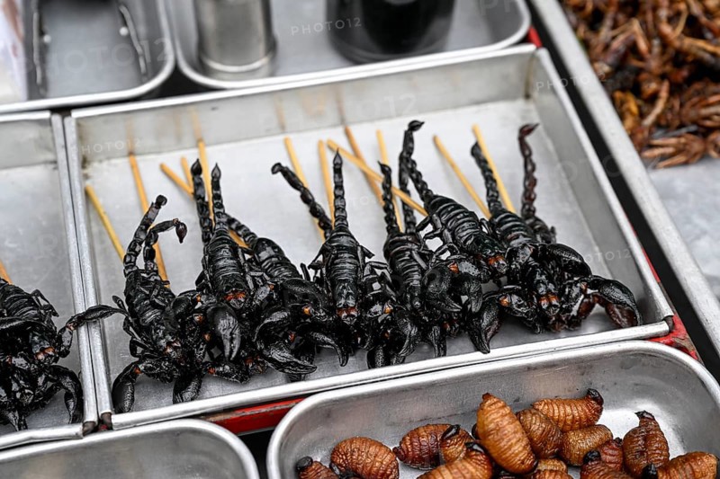 Deep-fried scorpions and palm weevil larvae at a stall in the market on Khaosan Road, Bang Lamphu, Bangkok, Thailand, Asia