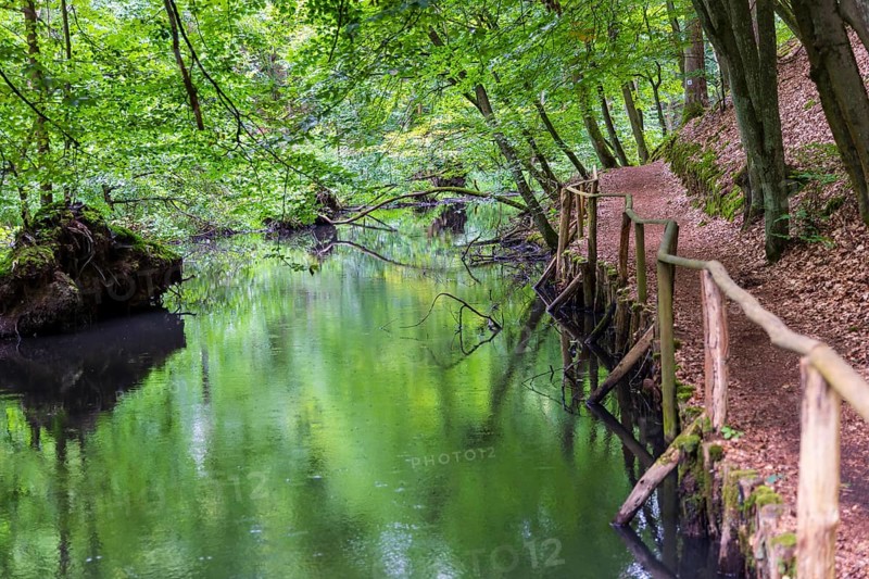 Schlaube in the romantic Schlaubetal valley, Oder-Spree district, Brandenburg, Germany, Europe