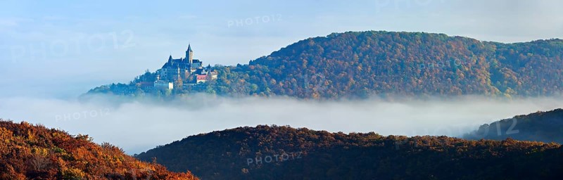 Wernigerode Castle rises out of the morning mist, surrounded by autumnal forests, Wernigerode, Saxony-Anhalt, Germany, Europe