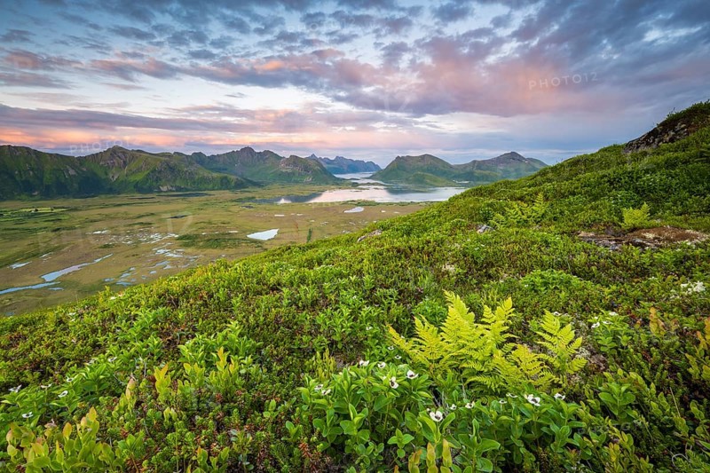 View of the coast and mountains from Mount Hoven, Gimsoy, Lofoten, Norway, Europe