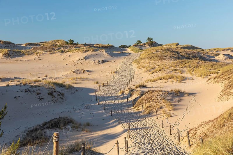 Lacka Dune on a sunny day with a blue sky in the Slowinski National Park, northern Poland on the Baltic Sea coast. 42 metres high and moving at a rate of 3 to 10 metres per year