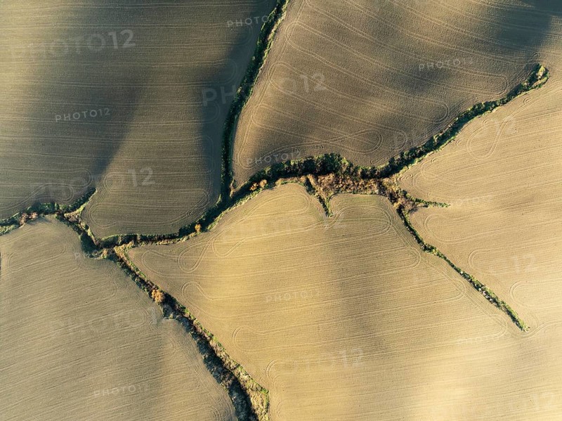 Farmland with tractor wheel ruts and streams with riverine vegetation in the Campiña Cordobesa, the fertile rural area south of the town of Córdoba. Aerial view. Drone shot. Córdoba province, Andalusia, Spain, Europe