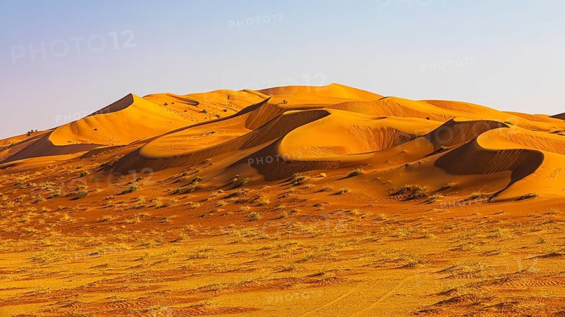 Wind-sculpted curved sand dunes in the Rub al Khali desert, Dhofar province, Arabian Peninsula, Sultanate of Oman