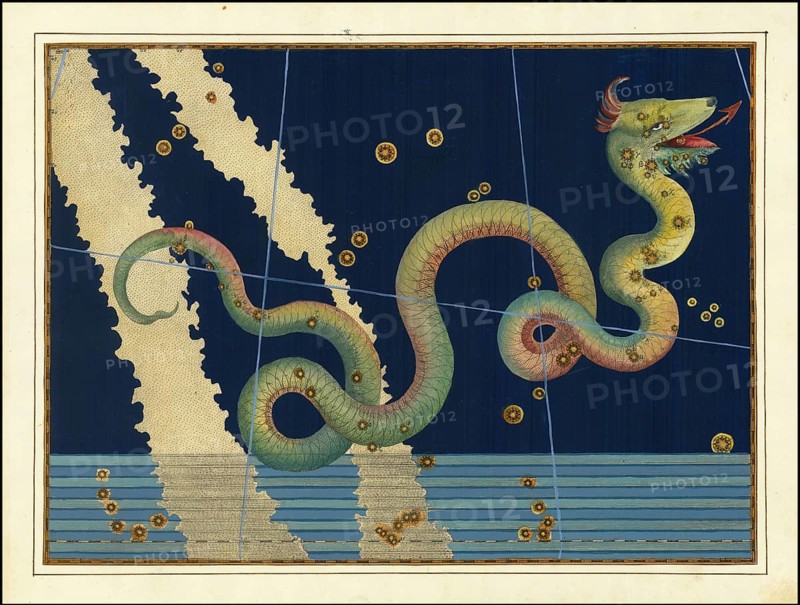 Astronomy. The celestial atlas, the Uranometria, Ptolemaic constellations, by Johann Bayer (1572 - 7 March 1625), German astronomer, Serpens, serpent, a constellation near the celestial equator, digitally enhanced reproduction of a historical original
