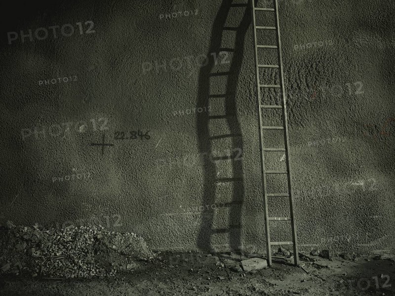 Ladder in a section of tunnel lined with shotcrete in construction lot H53, Brenner Base Tunnel, Wolf, Tyrol, Austria, Europe