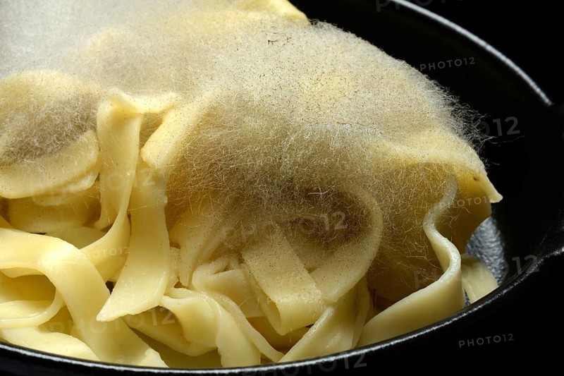 Mould on pasta, mould on food
