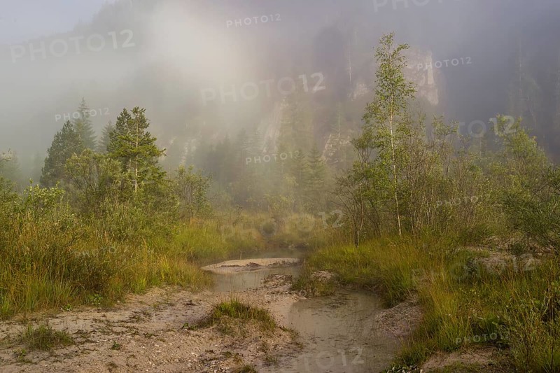 Isar valley nature conservancy area. The wild Isar river flows through its gravel bed past driftwood and entrained trees and bushes . Sunrise with dense fog showing an arc of mist, a rare weather phenomenon