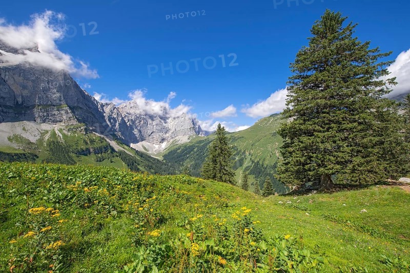 Spritzkarspitze and Grubenkarspitze, seen from Drijaggenalm, Karwendel Mountains, Tyrol, Austria, Europe