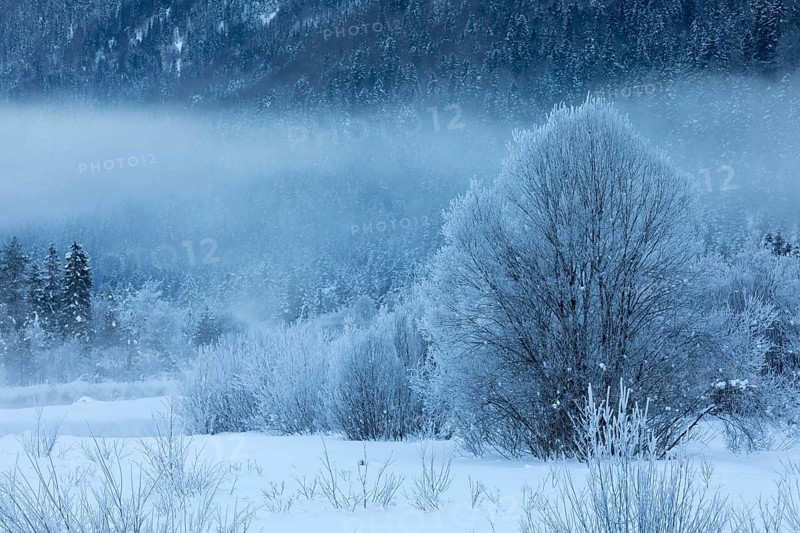 Isar valley in winter at temperatures of minus 18 degrees Celsius. Snow covered landscape with the Isar river flowing through. Some hoar frosted trees and fog. Early morning at sunrise