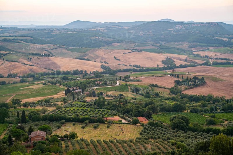 View from Montepulciano into a typical Tuscan landscape in Val d'Orcia with hills, trees, fields, cypresses and farm houses in summer, Montepulciano, Tuscany, Italy, Europe