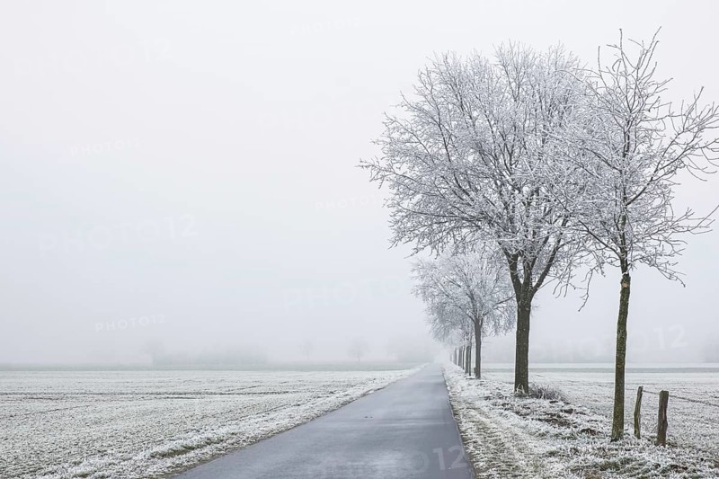 A snow-covered road stretches under foggy, frost-covered trees in the distance, Schöppinger Berg elevation, Schöppingen, Münsterland, North Rhine-Westphalia, Germany, Europe