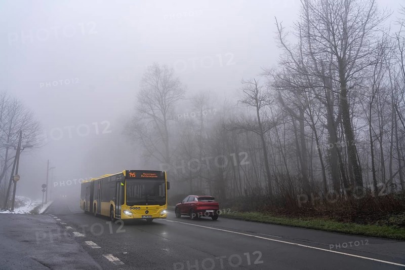 Dense fog, with visibility sometimes less than 100 metres, country road, Heisinger Straße, in Essen, North Rhine-Westphalia, Germany, Europe