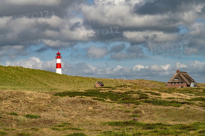 Dunes at the coast of Ellenbogen and the lighthouse List-Ost, List, island Sylt, district Nordfriesland, Schleswig-Holstein, Germany, Europe