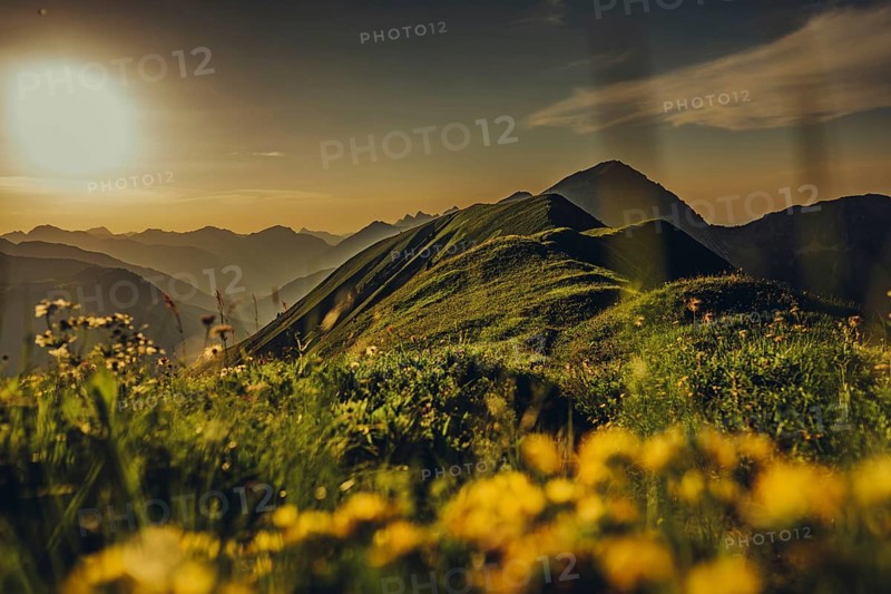 Hiking tour on the Hönig mountain in the Lechtal valley near Berwang in Tyrol, Austria, Europe