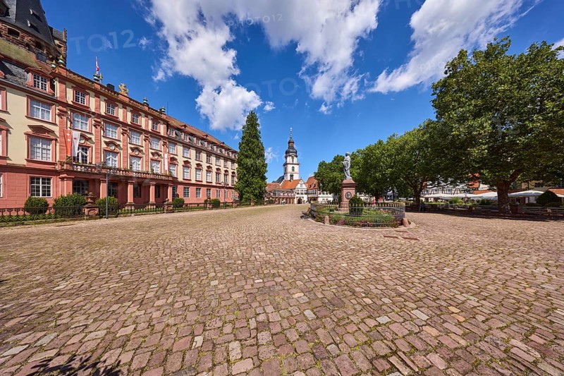 Erbach Castle, trees, cobblestones, monument to Count Franz, steeple of Erbach town church, blue sky with cumulus clouds, market square, Erbach, Odenwald, Odenwaldkreis, Hesse, Germany, Europe