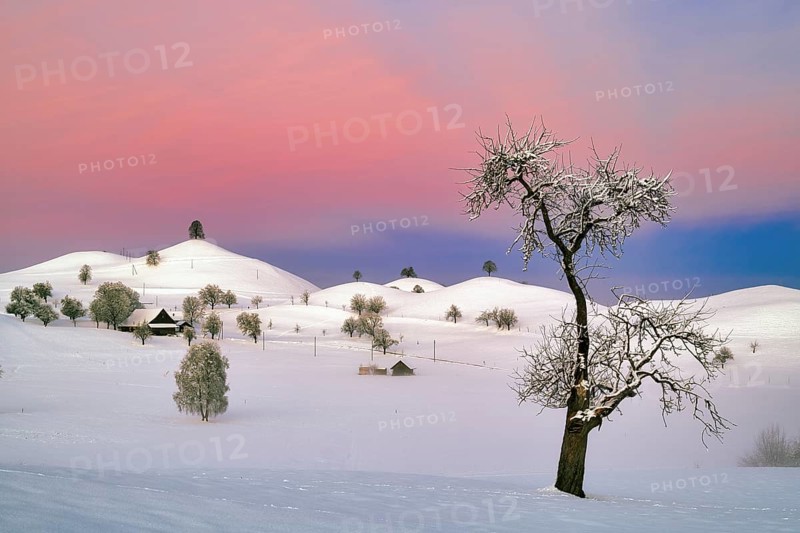 Snow-covered hilly landscape at dawn, Menzingen, Canton Zug, Switzerland, Europe