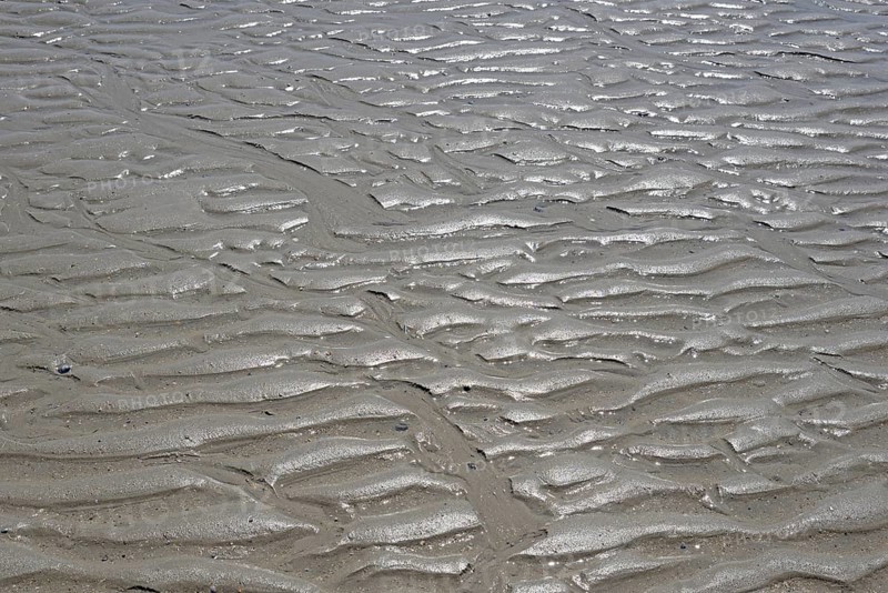 Beach at low tide with wave-like structure, current ripples in wet sand, North Sea, Norderney, East Frisian Islands, Lower Saxony, Germany, Europe
