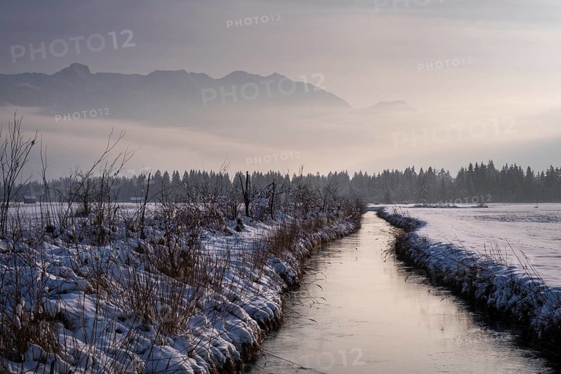 Murnauer moss in winter, near Murnau, Upper Bavaria, Bavaria, Germany, Europe