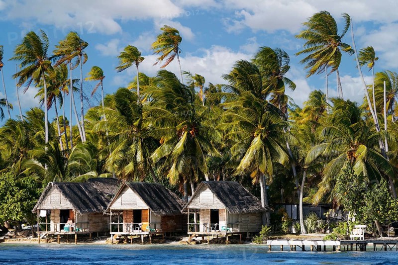 Simple, simple, bungalows, bungalow with terrace on the beach, tall coconut palms, palm tree (Cocos nicifera), Tetamanu Resort, Tetamanu Village, Tetamanu Island, Fakarava Atoll, Palliser Islands, Tuamoto Archipelago, Tahiti, Society Islands, Leeward Islands, French Polynesia, Oceania