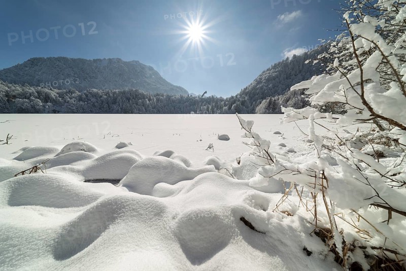 Freibergsee in winter, near Oberstdorf, behind it the Himmelschrofen, 1791m, and the Heini-Klopfer ski jump, Allgäu Alps, Oberallgäu, Allgäu, Bavaria, Germany, Europe