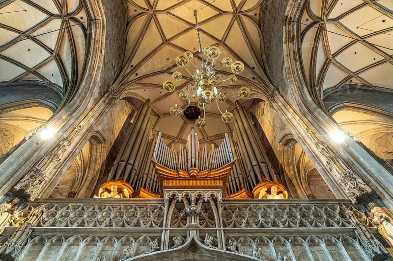 Church organ and ceiling of St Stephen's Cathedral in Vienna, Austria, Europe