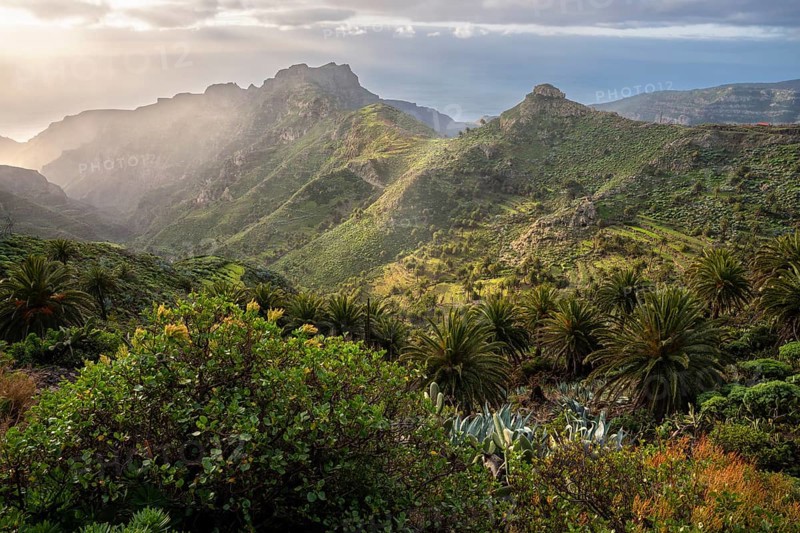 View of the Barranco Juan de Vera in the morning. Mountains, palm trees, rocks and sea. Near Mirador Degollada de Peraza. La Gomera, Canary Islands, Spain, Europe