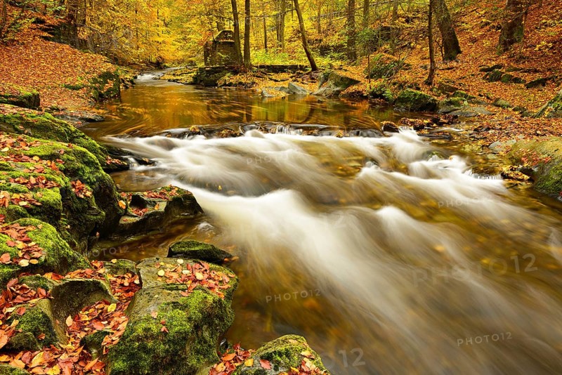 Autumn on the Schwarza river in the Schwarzatal valley between Bad Blankenburg and Schwarzburg, Thuringia, Germany, Europe