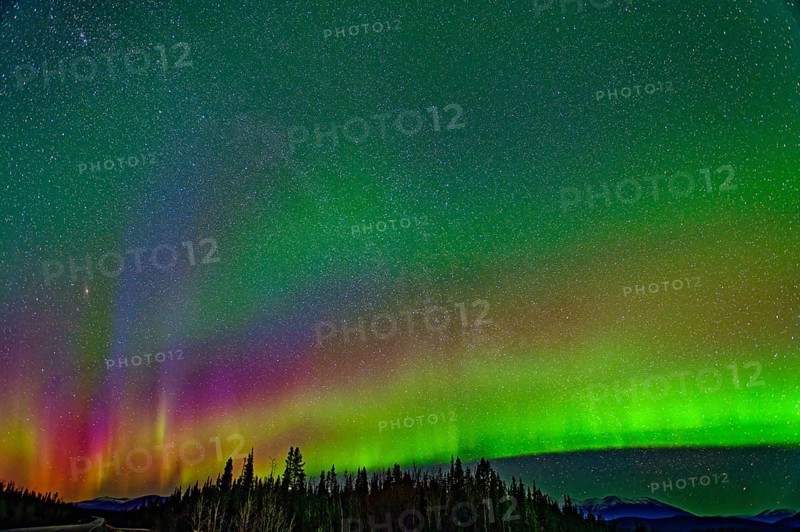 Aurora Borealis, Northern Lights, extreme starry sky, intense colouring, Yukon Territory, Canada, North America