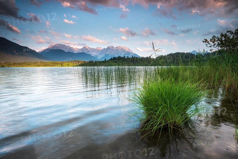 Evening mood at Barmsee with reeds, view of the Karwendel mountains, Krün, Bavaria, Germany, Europe