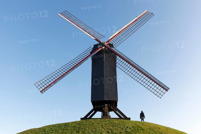 Historic windmill on the ramparts, Bruges, West Flanders, Flanders, Belgium, Europe