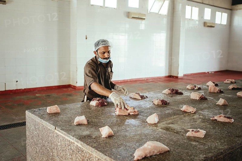 Cutting up a slaughtered dromedary (camelus dromedarius), camel slaughter, Salalah slaughterhouse, Dhofar, Oman, Asia