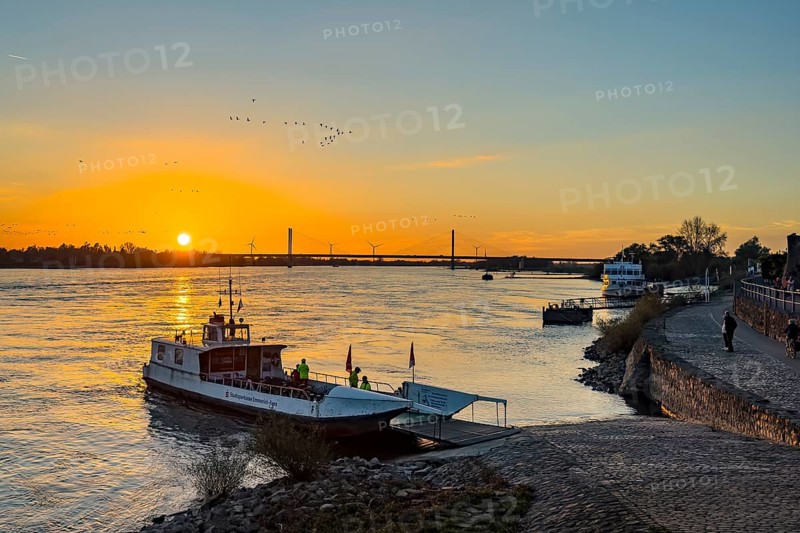 Sunset over the river Rhine Lower Rhine, on the left in the foreground small passenger ferry two-wheel ferry Rees, on the right ramp and paved bank, in the background bridge Rhine bridge two-hip cable-stayed bridge, Rees, North Rhine-Westphalia, Germany, Europe