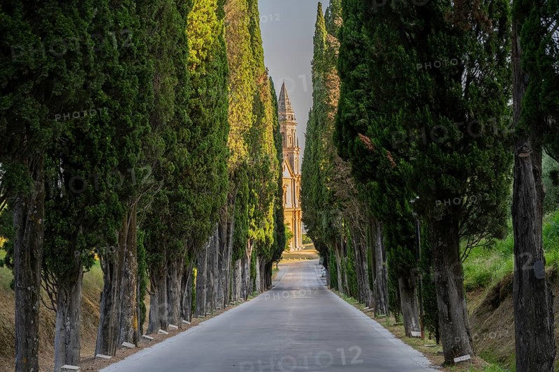 Road going through cypress trees to San Biagio Renaissance Church in autumn, architect Antonio da Sangallo, Montepulciano, Tuscany, Italy, Europe