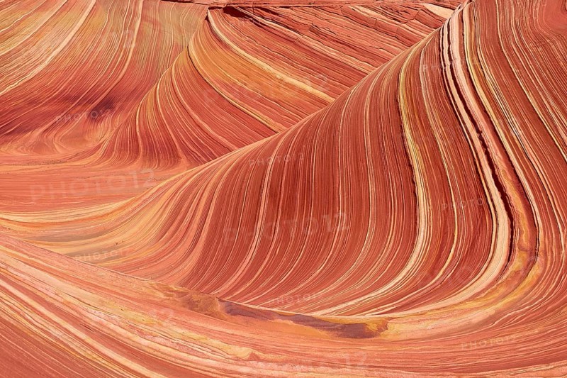 The Wave, impressive sandstone formation with wave-like patterns in various shades of red and orange, The Wave, Coyote Buttes, Arizona, USA, North America