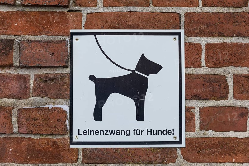 Sign on a wall indicating that dogs must be kept on a lead, Klütz, Mecklenburg-Western Pomerania, Germany, Europe