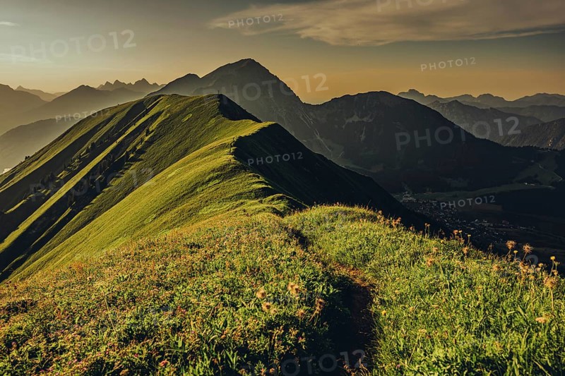 Hiking tour on the Hönig mountain in the Lechtal valley near Berwang in Tyrol, Austria, Europe
