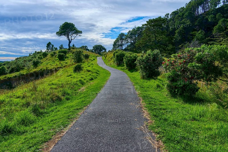 A cobbled path winds through rolling hills and lush greenery under an expansive sky, Cathedral Cove, Hahei, Coromandel Peninsula, North Island, New Zealand, Oceania