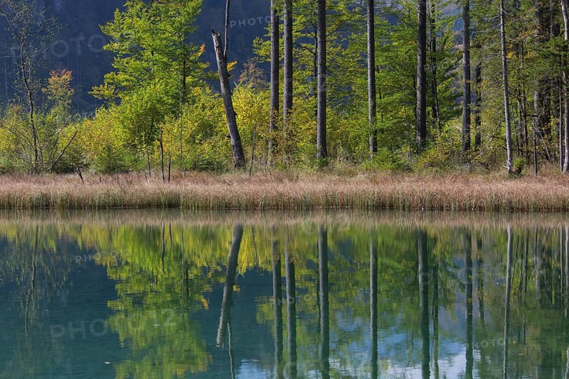 Autumn mood at lake Almsee, Grünau, Austria, Totes Gebirge, Europe