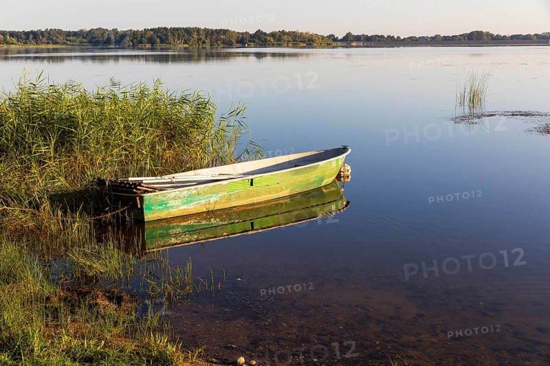 Rowing boat lying in the reeds at the old lido of the Quitzdorf dam, Upper Lusatia, Saxony, Germany, Europe