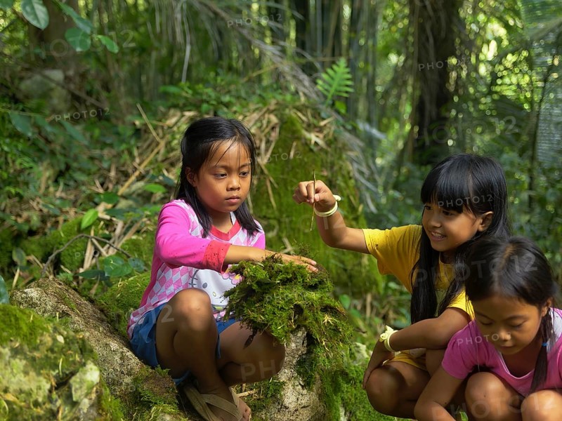 Girls in the forest playing with moss, Tana Toraja, Sulawesi, Indonesia, Asia