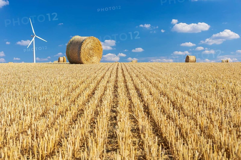 Straw bales on a harvested grain field, stubble field, in the background a wind turbine, Nossen, Saxony, Germany, Europe