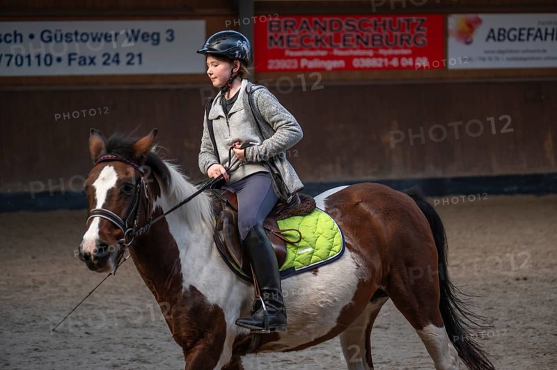 Little girl, 10 years old, on a horse in an indoor riding arena, Mecklenburg-Vorpommern, Germany, Europe