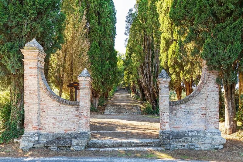 Entrance to Parco Cipressaia with path through columnar cypresses (Cupressus sempervirens), Monteroni d'Arbia, Province of Siena, Tuscany, Italy, Europe