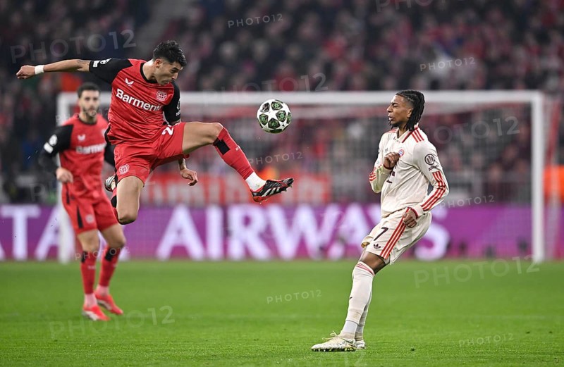 Tackle, action Exequiel Palacios Bayer 04 Leverkusen (25) v Michael Olise FC Bayern Muenchen FCB (17) UEFA Champions League Allianz Arena, Munich, Bavaria, Germany, Europe
