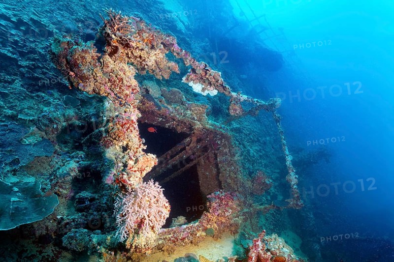 Ladelucke, deck, British Loyalty, wreck, shipwreck, torpedoed on 09.03.1944 by U-183, heavily damaged, sunk herself on 15.01.1946, Indian Ocean, Addu Atoll also Senu Atoll, Maldives, Asia