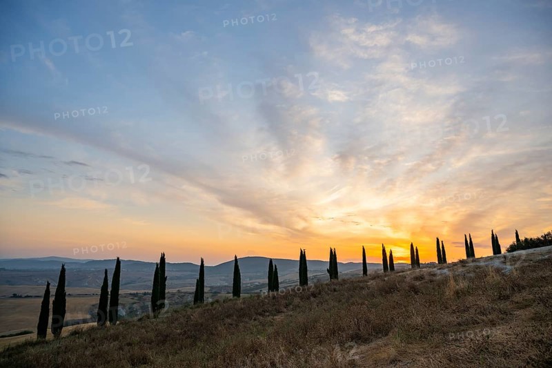 Typical Tuscan landscape in Crete Senesi with hills, trees, fields, cypresses and farm road in autumn, sunrise, Agriturismo Baccoleno, UNESCO World Heritage Site, Siena Province, Tuscany, Italy, Europe