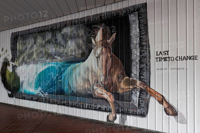Horse jumps out of a wave, Last Time To Change, symbolic mural on the subject of global warming, rising sea levels, by street artist Marion Ruthardt, Krefeld, North Rhine-Westphalia, Germany, Europe