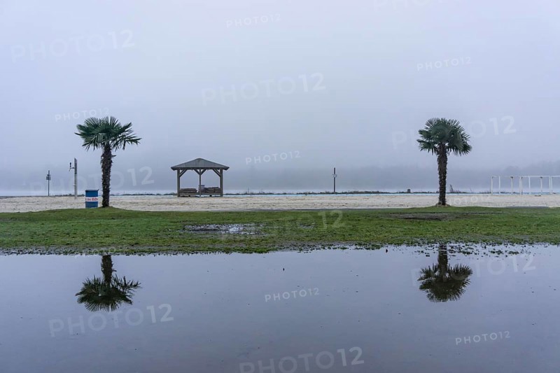 The Seaside Beach, at the Lake Baldeney in Essen, dull, very foggy January day, palm trees are reflected in a large puddle of rainwater, the lake visually sinks into the foggy weather North Rhine-Westphalia, Germany, Europe