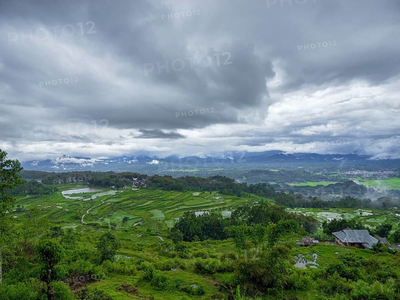 Landscape with green rice terraces, Tana Toraja, Sulawesi, Indonesia, Asia