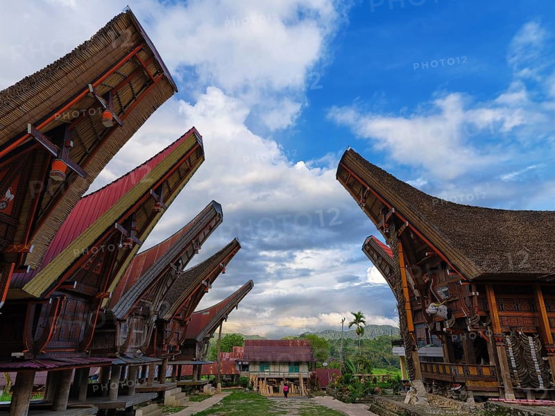 Old traditional wooden houses, villages, pile dwellings with curved colourful roofs, Tana Toraja, Sulawesi, Indonesia, Asia
